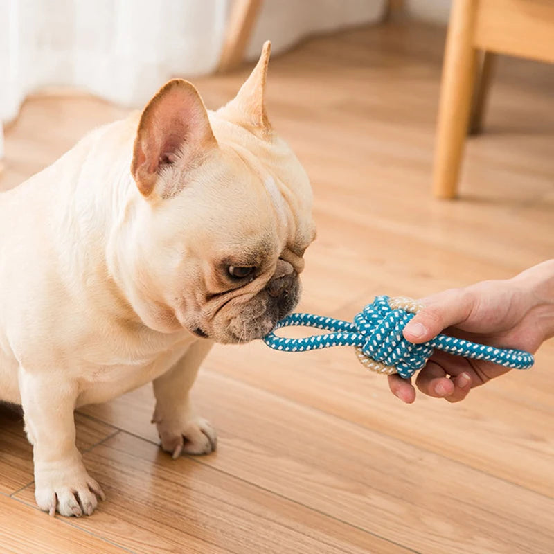 Interactive Cotton Rope Mini Dog Toys Ball for Dogs.