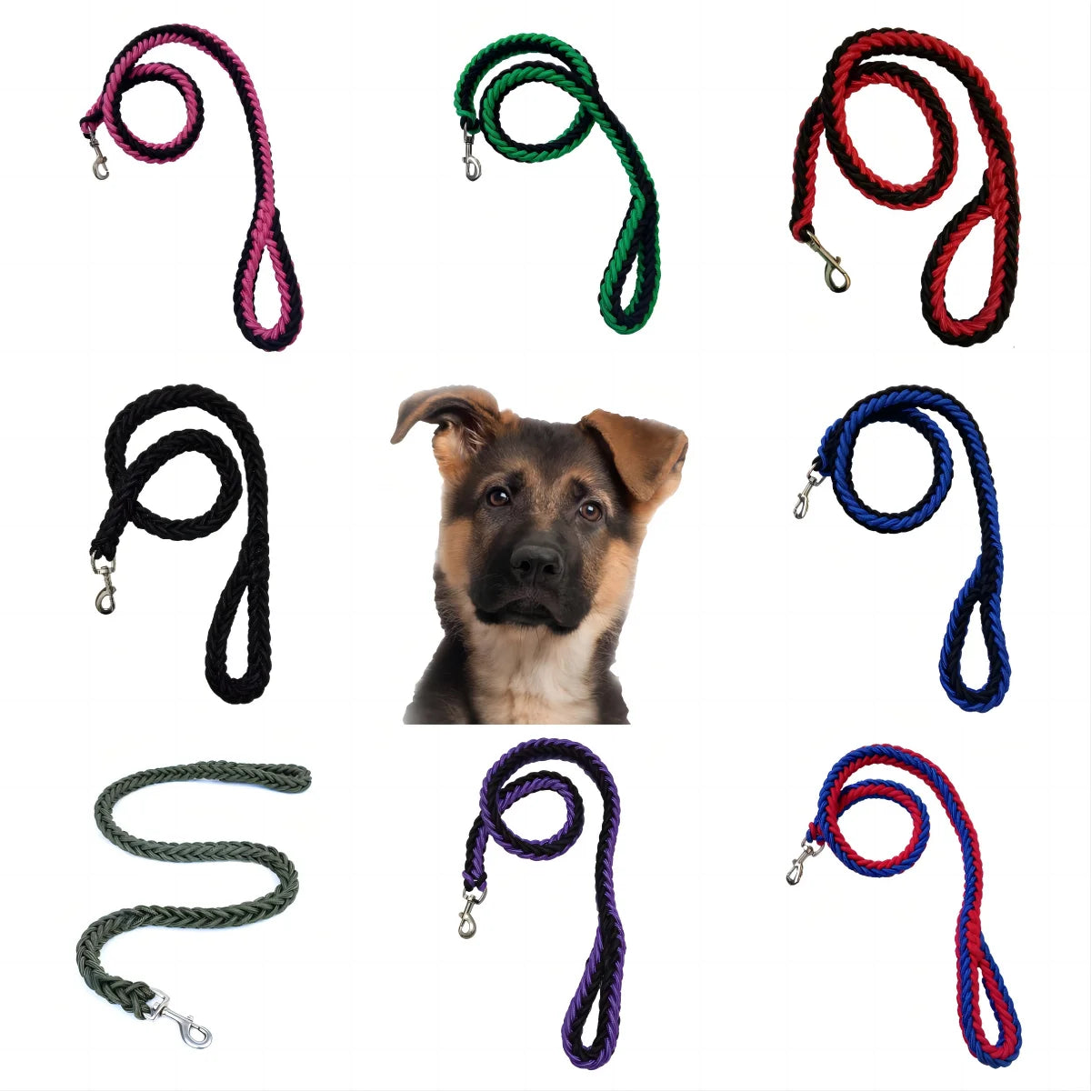 Nylon Dog Harness Leash