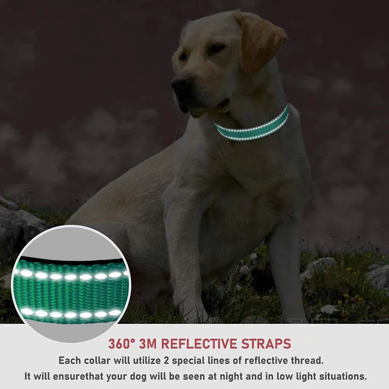 Reflective Dog Collar Strap With Adjustable Safety Nylon Pet Collar.