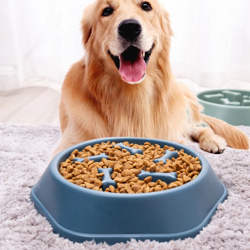 Pet Slow Food Bowl