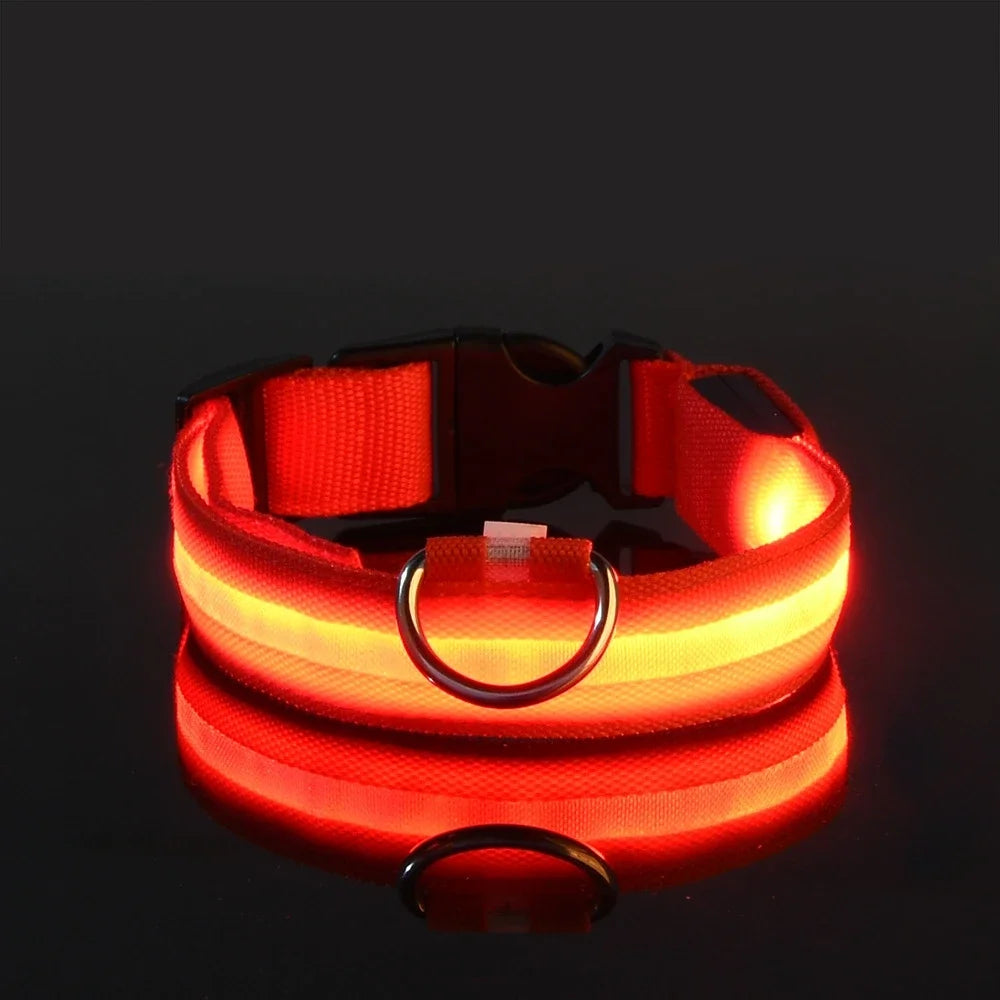 Dog Collar Nylon LED Night Safety Flashing Glow In The Dark Pet Dog collar.