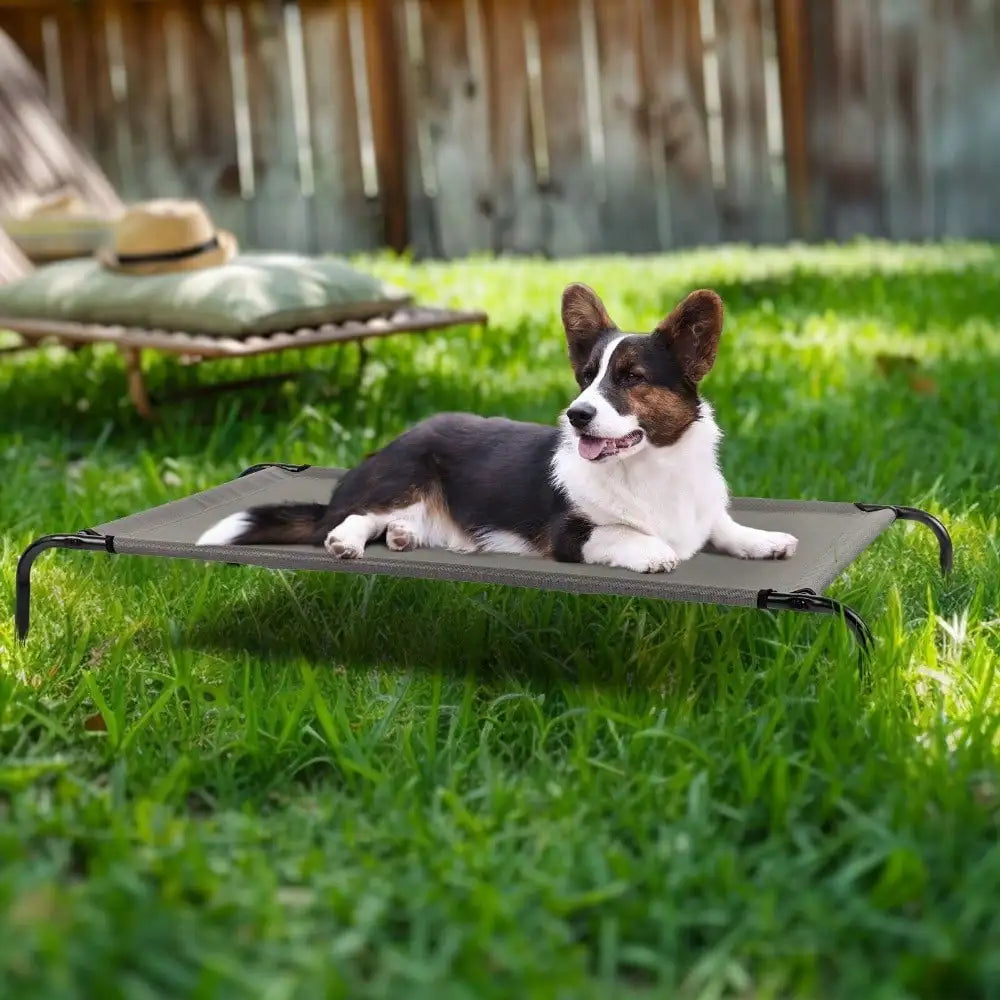 43" Elevated Dog Bed.