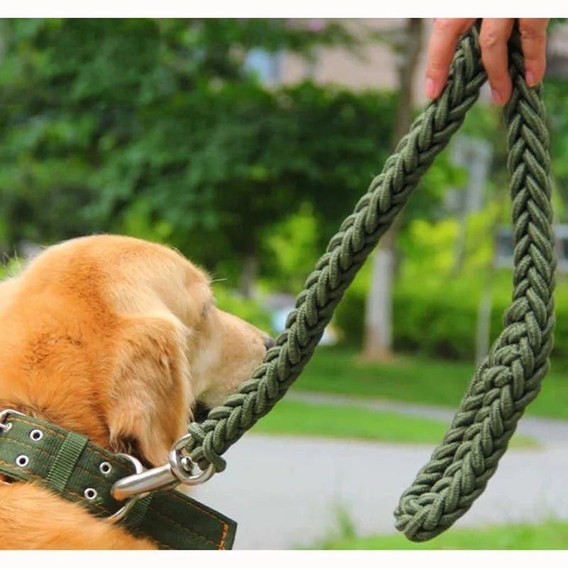 Nylon Dog Harness Leash