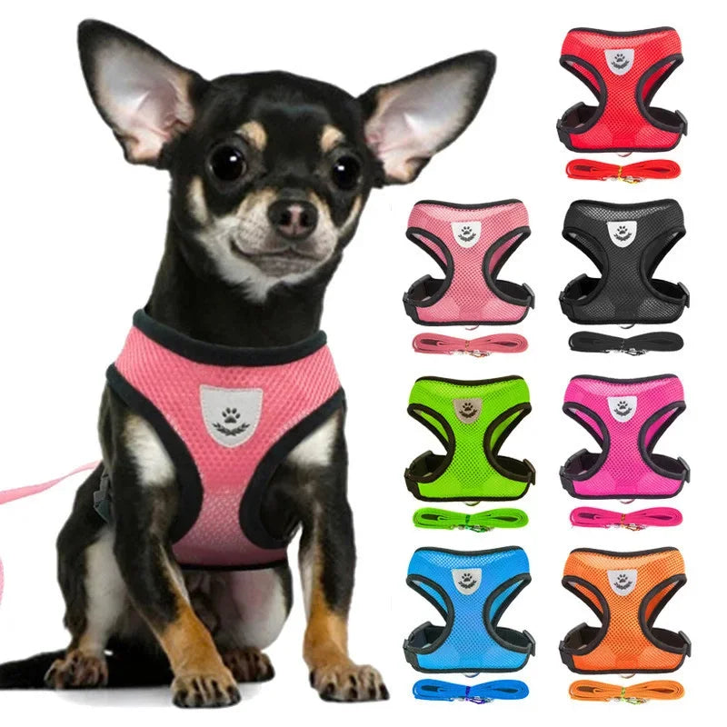 Puppy Cat Vest Harness With Leash.