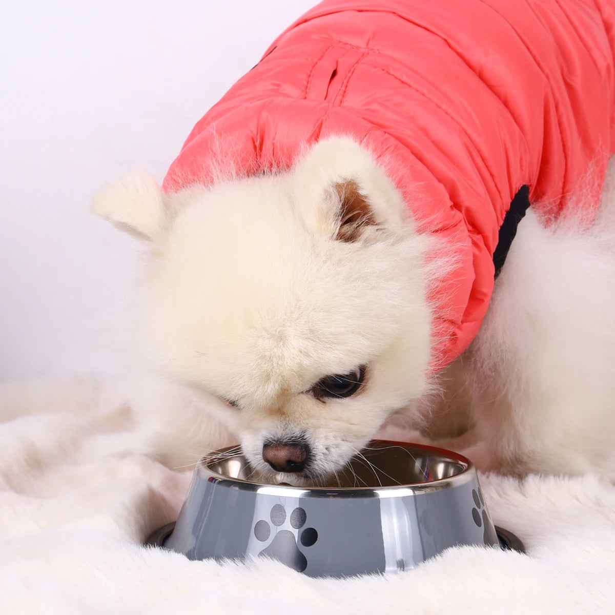 1PC Stainless Steel Pet Bowl