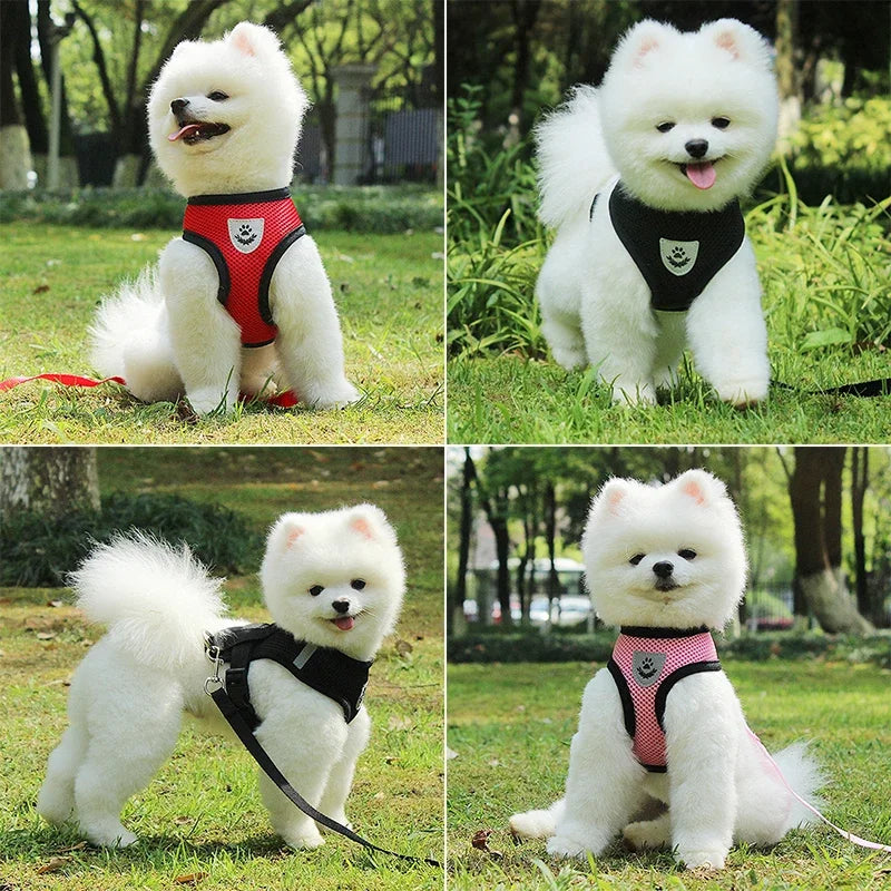 Puppy Cat Vest Harness With Leash.