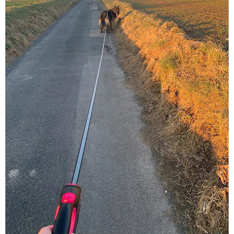 Dog Leash Retractable.