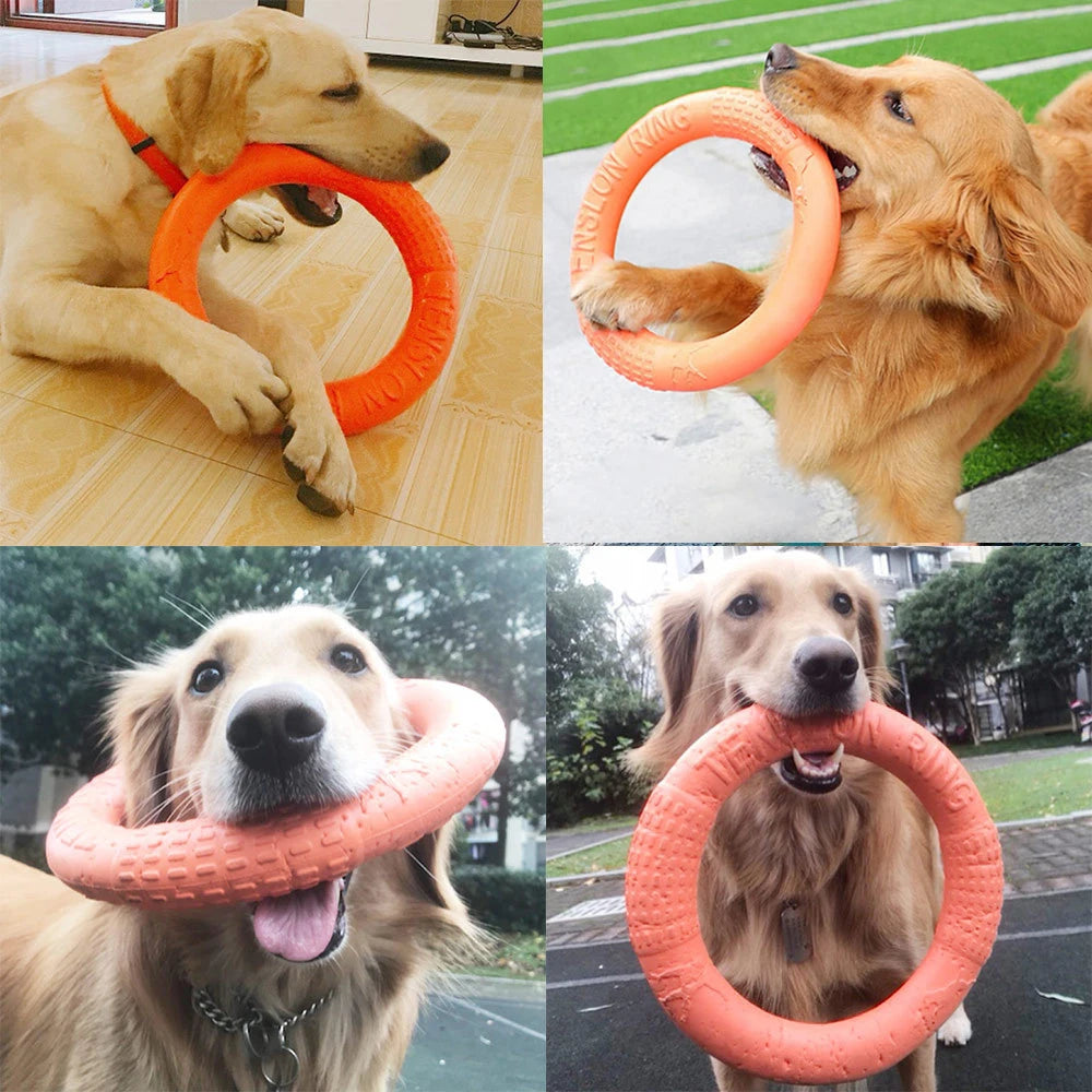 Dog Ring Toys Indestructible Chewing toy