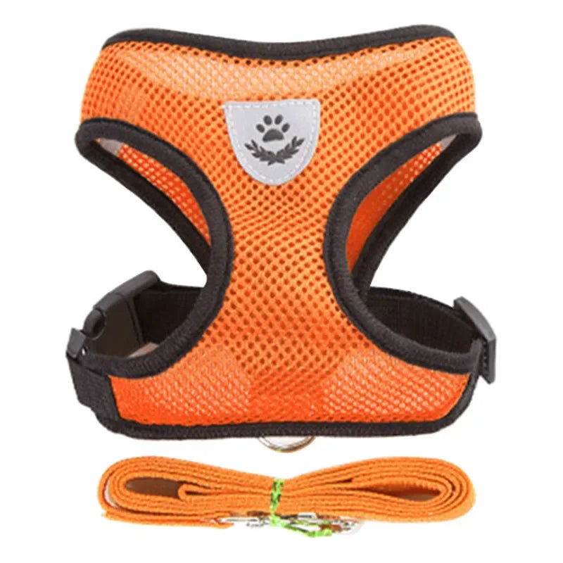 Puppy Cat Vest Harness With Leash.