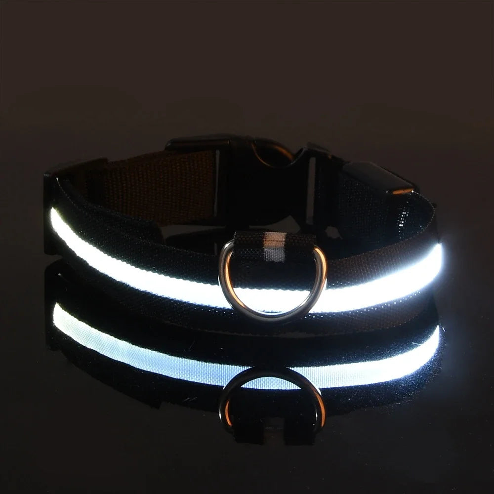 Dog Collar Nylon LED Night Safety Flashing Glow In The Dark Pet Dog collar.