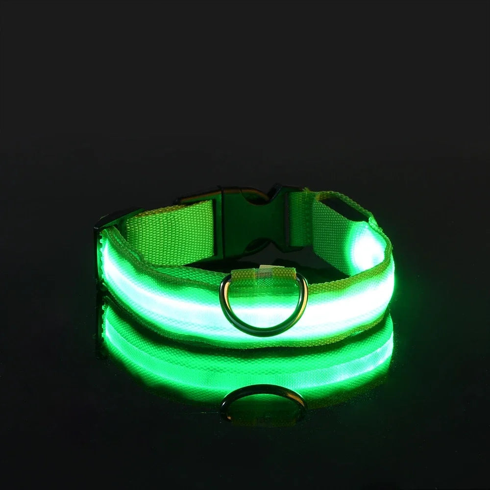 Dog Collar Nylon LED Night Safety Flashing Glow In The Dark Pet Dog collar.