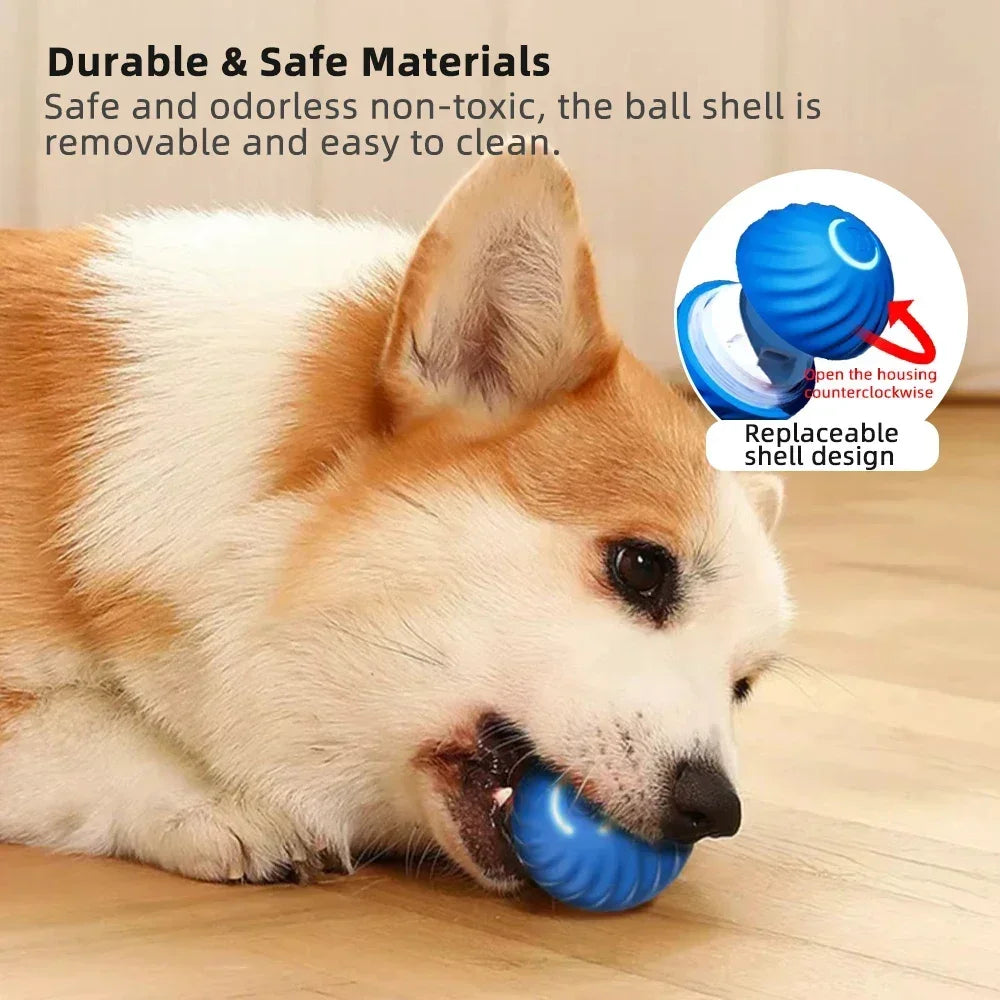 Electronic pet toy ball.