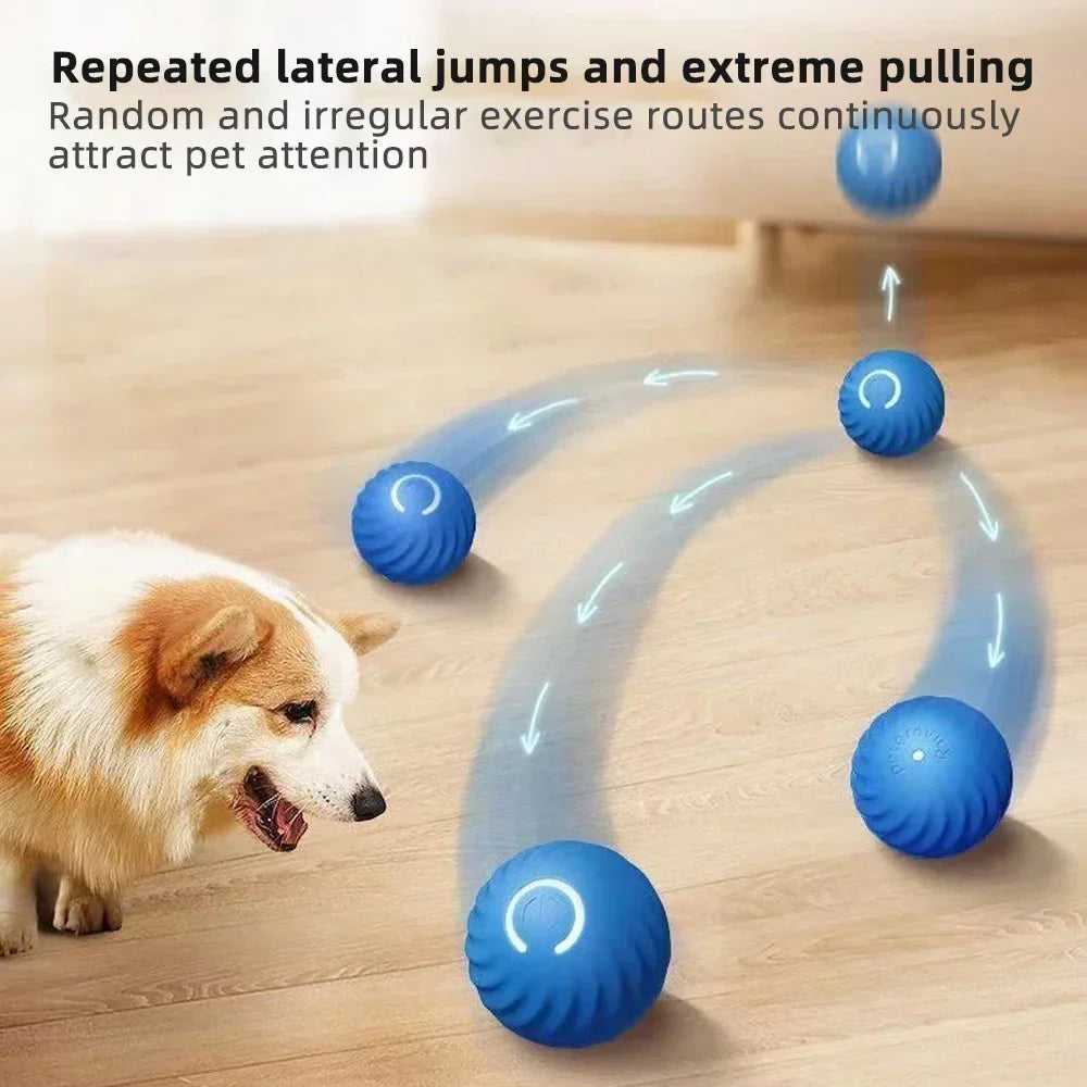 Electronic pet toy ball.