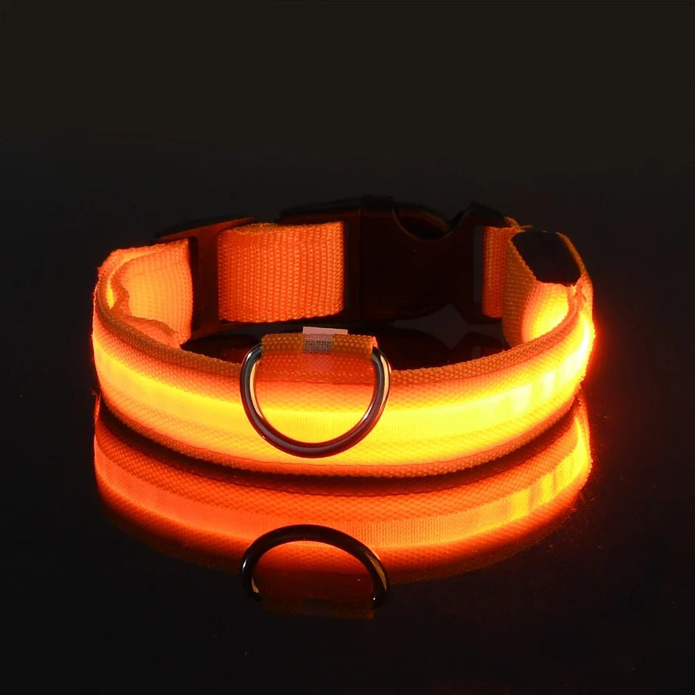 Dog Collar Nylon LED Night Safety Flashing Glow In The Dark Pet Dog collar.