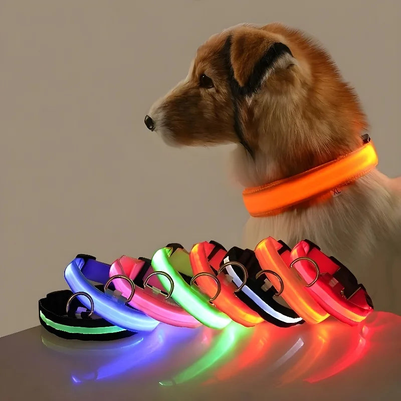 Dog Collar Nylon LED Night Safety Flashing Glow In The Dark Pet Dog collar.