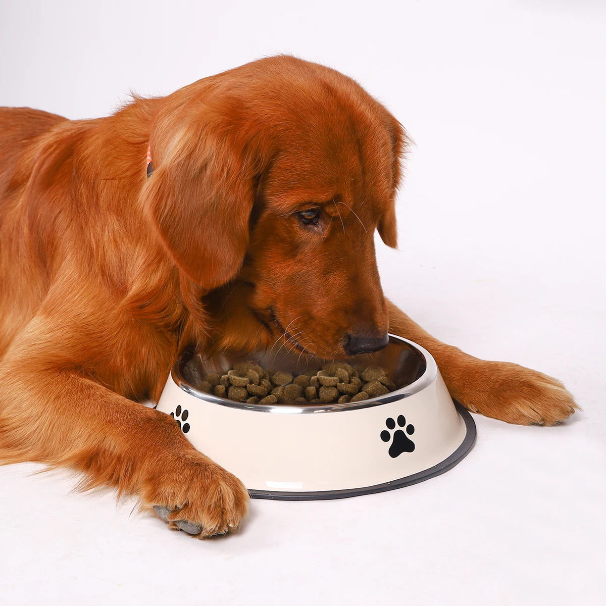 1PC Stainless Steel Pet Bowl