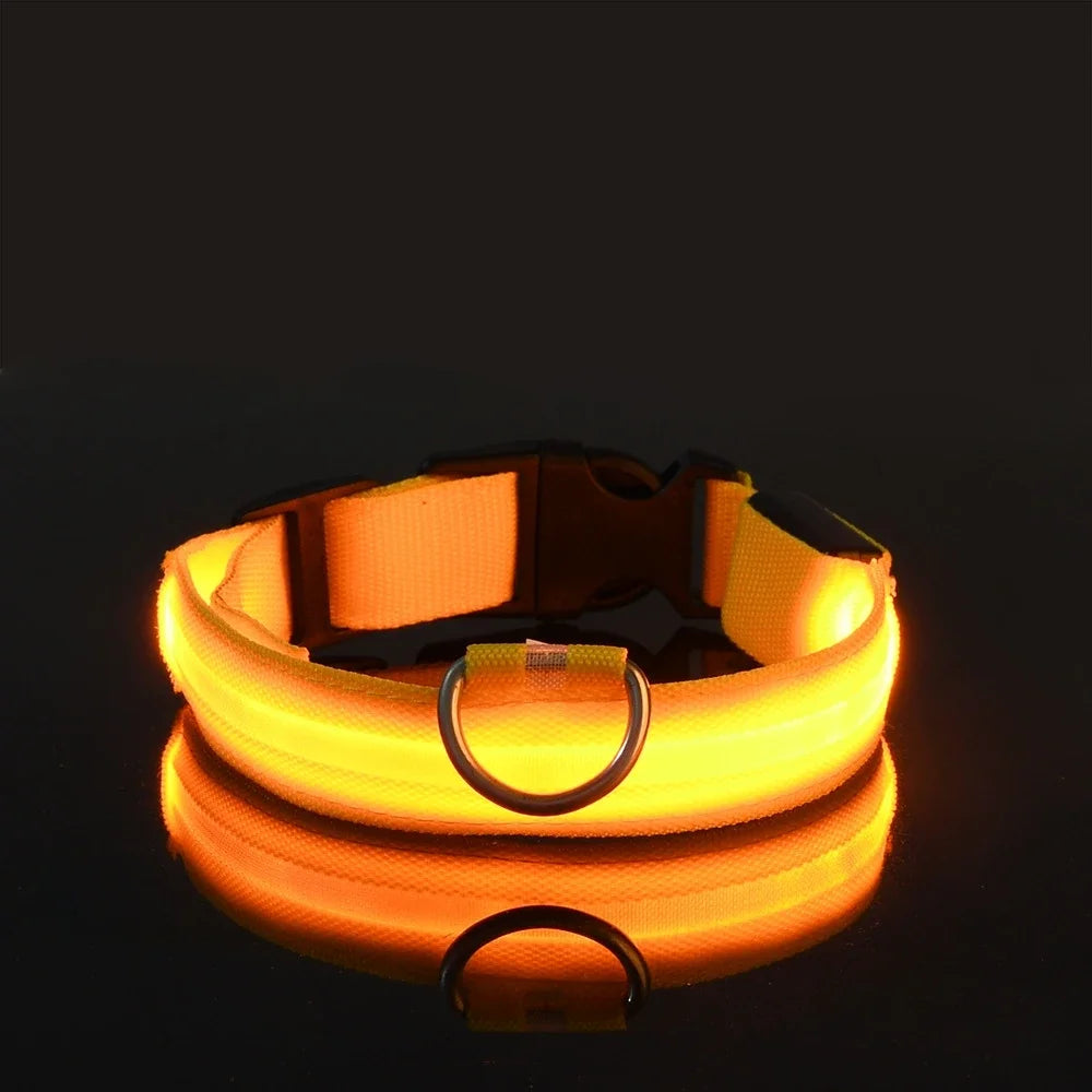 Dog Collar Nylon LED Night Safety Flashing Glow In The Dark Pet Dog collar.